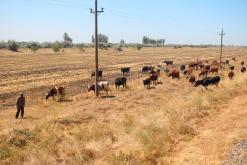 Poltava - Týden po Ukrajině (srpen 2016)