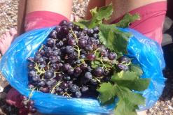 Katerini - srpen 2016