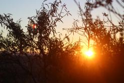 Tbilisi - září 2016