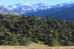 Mestia - září 2016