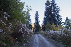 Mestia - září 2016