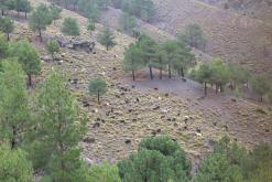 výstup pod Džabal Tubkal - říjen 2016