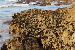 Z Safi do Souira Kedima - říjen 2016