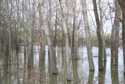 Pavlodar - květen 2018