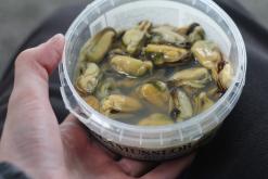 Stockholm - Prodloužený víkend ve Švédsku (červenec 2016)