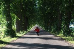 Nyköping - Prodloužený víkend ve Švédsku (červenec 2016)