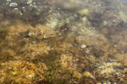 Dachstein - Prodloužený víkend v Alpách (duben 2025)