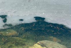 Dachstein - Prodloužený víkend v Alpách (duben 2025)