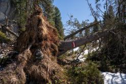 Dachstein - Prodloužený víkend v Alpách (duben 2025)