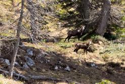 Dachstein - Prodloužený víkend v Alpách (duben 2025)