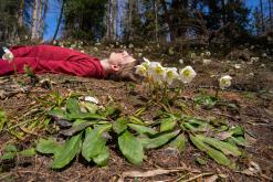 Dachstein - Prodloužený víkend v Alpách (duben 2025)