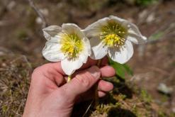 Dachstein - Prodloužený víkend v Alpách (duben 2025)