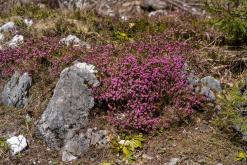 Dachstein - Prodloužený víkend v Alpách (duben 2025)