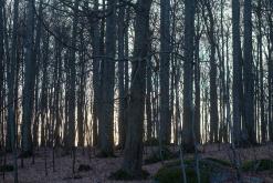 Sandefjord - Prodloužený víkend v Norsku (březen 2016)