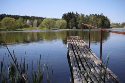 Český les - květen 2016