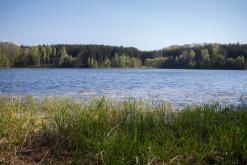 Český les - květen 2016