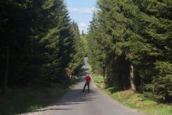 Český les - květen 2016