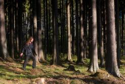 Český les - květen 2016