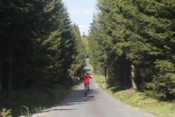 Český les - květen 2016