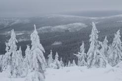 Krkonoše - leden 2017
