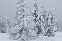 Krkonoše - leden 2017