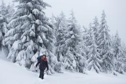 Krkonoše - leden 2017