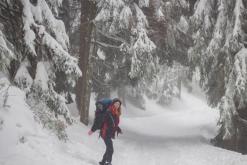 Krkonoše - leden 2017