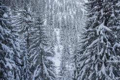 Krkonoše - leden 2017