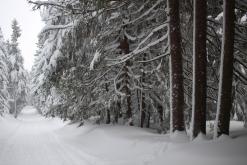 Krkonoše - leden 2017