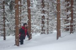 Krkonoše - leden 2017