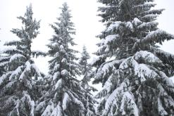 Krkonoše - leden 2017