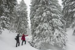 Krkonoše - březen 2017