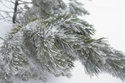 Krkonoše - březen 2017