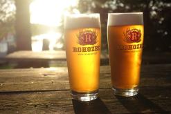 Máchovo jezero - 3.8.2017