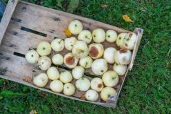 Kõnnu Suursoo - Prodloužený víkend u Baltu (září 2024)