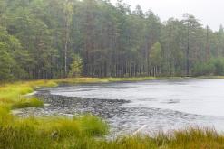 Kõnnu Suursoo - Prodloužený víkend u Baltu (září 2024)