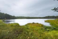 Kõnnu Suursoo - Prodloužený víkend u Baltu (září 2024)
