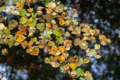 Kõnnu Suursoo - Prodloužený víkend u Baltu (září 2024)