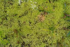 Kõnnu Suursoo - Prodloužený víkend u Baltu (září 2024)