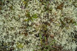 Kõnnu Suursoo - Prodloužený víkend u Baltu (září 2024)