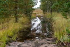 Kõnnu Suursoo - Prodloužený víkend u Baltu (září 2024)