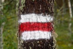 Kõnnu Suursoo - Prodloužený víkend u Baltu (září 2024)