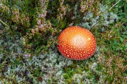 Kõnnu Suursoo - Prodloužený víkend u Baltu (září 2024)