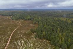 Kõnnu Suursoo - Prodloužený víkend u Baltu (září 2024)