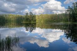 Kõnnu Suursoo - Prodloužený víkend u Baltu (září 2024)