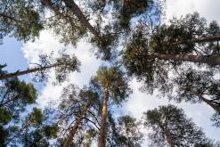 Kõnnu Suursoo - Prodloužený víkend u Baltu (září 2024)