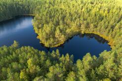 Kõnnu Suursoo - Prodloužený víkend u Baltu (září 2024)