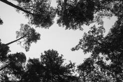 Kõnnu Suursoo - Prodloužený víkend u Baltu (září 2024)