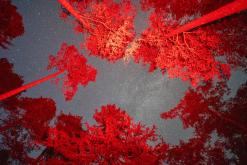 Kõnnu Suursoo - Prodloužený víkend u Baltu (září 2024)