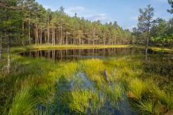 Kõnnu Suursoo - Prodloužený víkend u Baltu (září 2024)